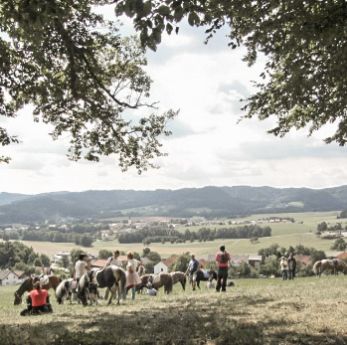 Ponyurlaub_Familie_Rast_Gasthof-Reiterhof-Pichler